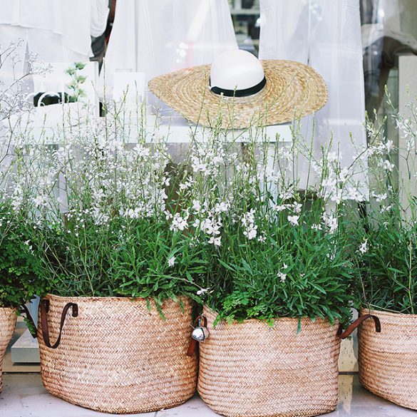 Spring in Downtown Winnipeg, Downtown Winnipeg Events, 300 Main Downtown Winnipeg Apartments