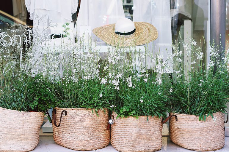 Spring in Downtown Winnipeg, Downtown Winnipeg Events, 300 Main Downtown Winnipeg Apartments