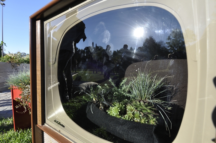 Public Arts Winnipeg, Public Arts, Arts, Living Living Room, Winnipeg Arts Council, Winnipeg Arts, Winnipeg Downtown, Downtown Winnipeg