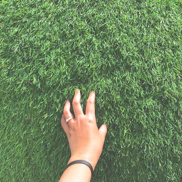 Public Arts Winnipeg, Public Arts, Arts, Living Living Room, Winnipeg Arts Council, Winnipeg Arts, Winnipeg Downtown, Downtown Winnipeg