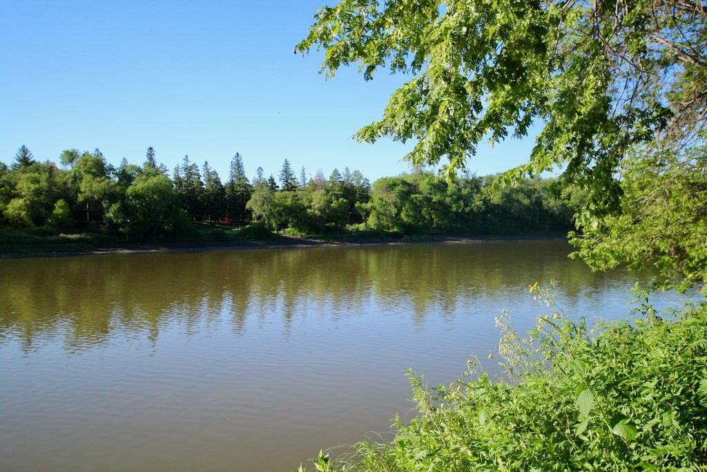 Downtown Winnipeg, Picnic Winnipeg, Summer in Winnipeg, Things To Do in Winnipeg, Explore Winnipeg, Parks in Winnipeg, Winnipeg Parks, Where to chill in Winnipeg, Where to Hang out in Winnipeg, Hangout places in Winnipeg