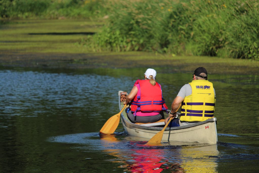 Downtown Winnipeg, Picnic Winnipeg, Summer in Winnipeg, Things To Do in Winnipeg, Explore Winnipeg, Parks in Winnipeg, Winnipeg Parks, Where to chill in Winnipeg, Where to Hang out in Winnipeg, Hangout places in Winnipeg