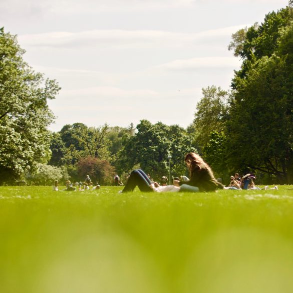 Downtown Winnipeg, Picnic Winnipeg, Summer in Winnipeg, Things To Do in Winnipeg, Explore Winnipeg, Parks in Winnipeg, Winnipeg Parks, Where to chill in Winnipeg, Where to Hang out in Winnipeg, Hangout places in Winnipeg