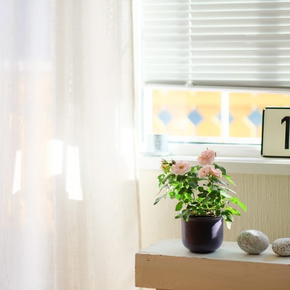 Choosing the Curtains or Blinds for Your Space, , apartments winnipeg, winnipeg apartments, finding an apartment in winnipeg, apartment living, downtown living, apartment lifestyle, downtown winnipeg apartments, downtown lifestyle, downtown living, living in downtown winnipeg, living in downtown winnipeg apartments